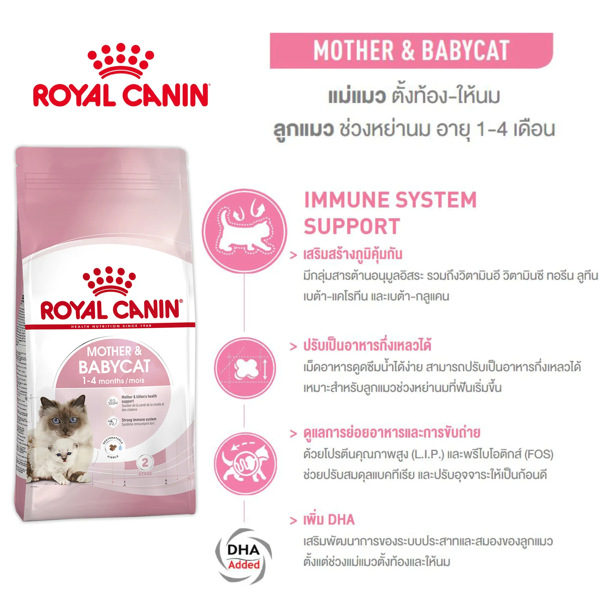 ROYAL CANIN MOTHER & BABYCAT อาหารเม็ดสำหรับ แม่แมวและลูกแมวหย่านม ทุกสายพันธุ์