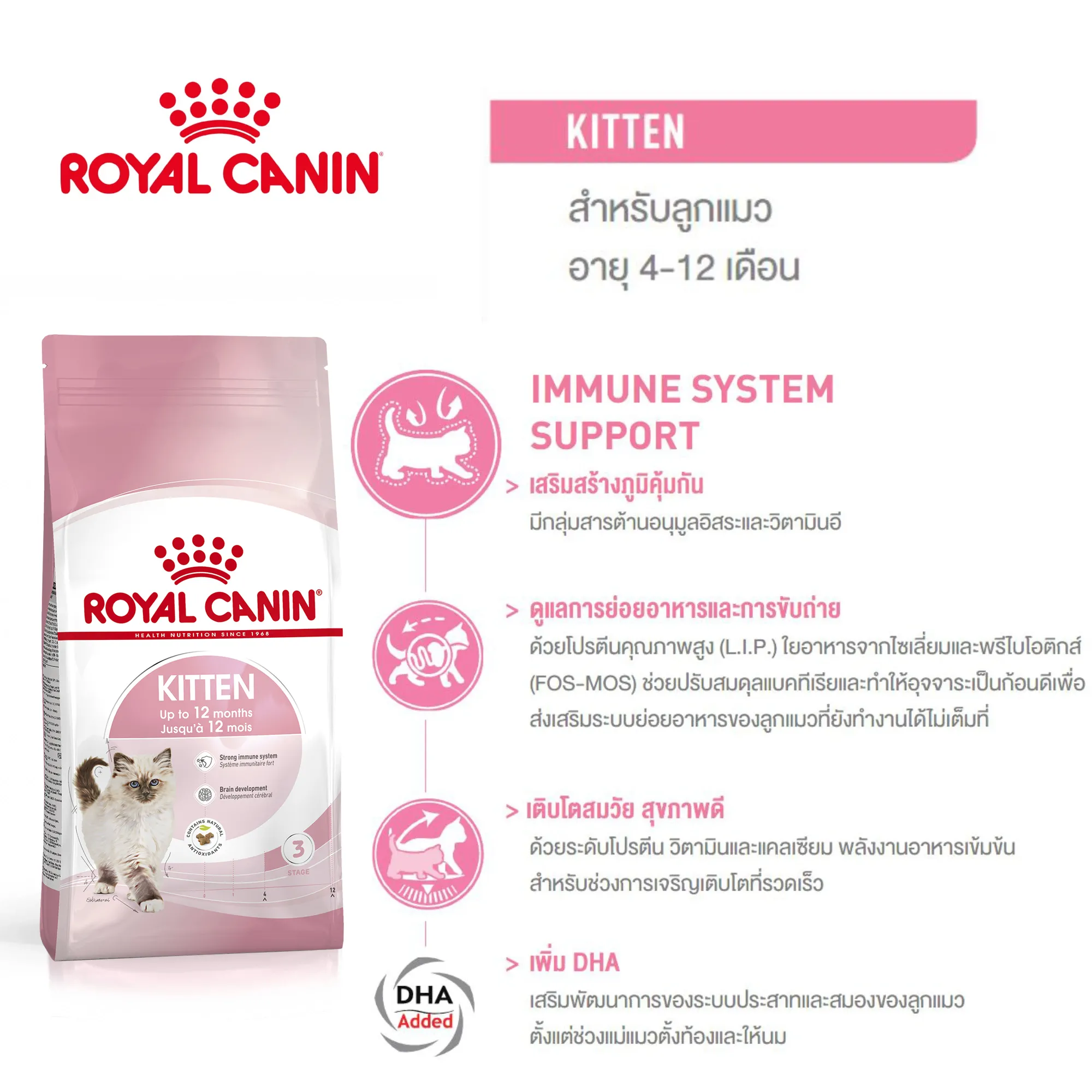 ROYAL CANIN KITTEN อาหารเม็ดสำหรับลูกแมว4-12เดือนทุกสายพันธุ์