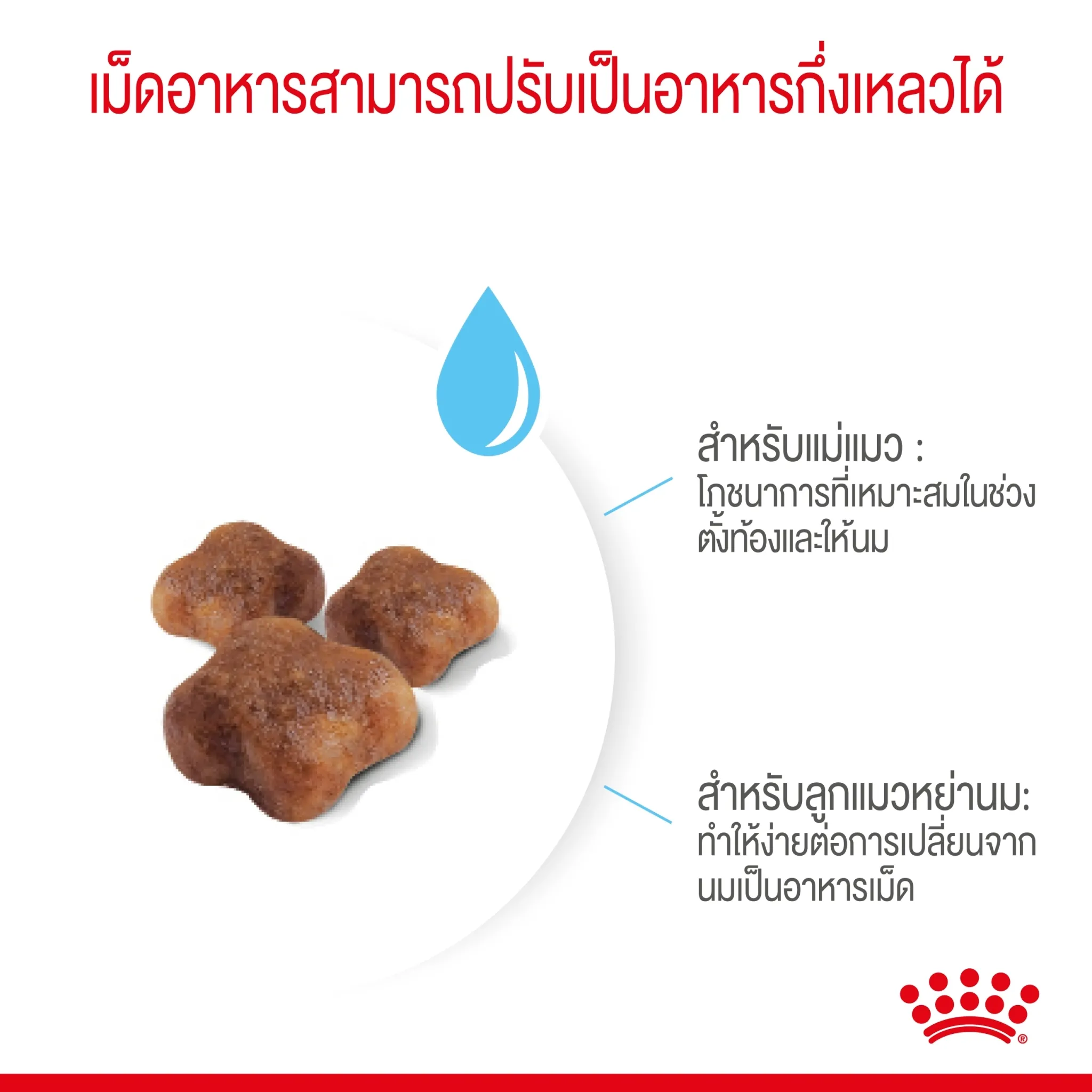 ROYAL CANIN MOTHER & BABYCAT อาหารเม็ดสำหรับ แม่แมวและลูกแมวหย่านม ทุกสายพันธุ์