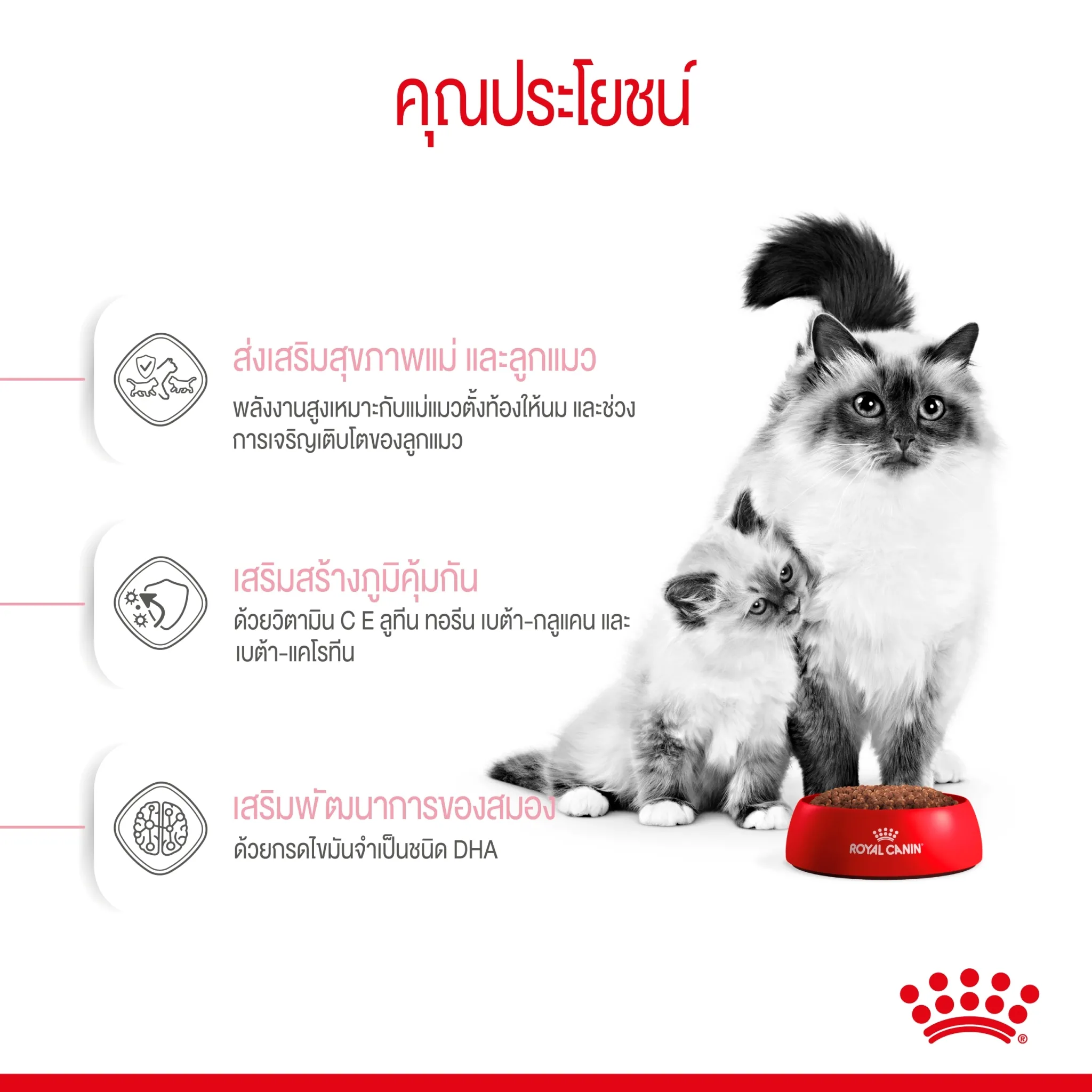 ROYAL CANIN MOTHER & BABYCAT อาหารเม็ดสำหรับ แม่แมวและลูกแมวหย่านม ทุกสายพันธุ์