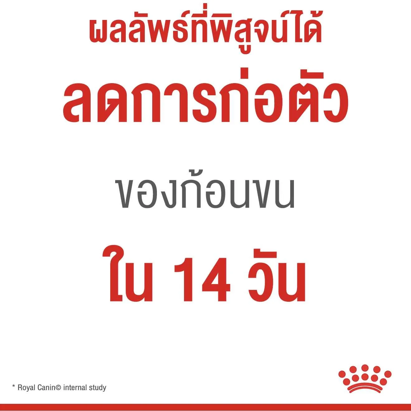 ROYAL CANIN Hairball Care อาหารเม็ดสำหรับแมวโตทุกสายพันธุ์ สูตรกำจัดก้อนขน