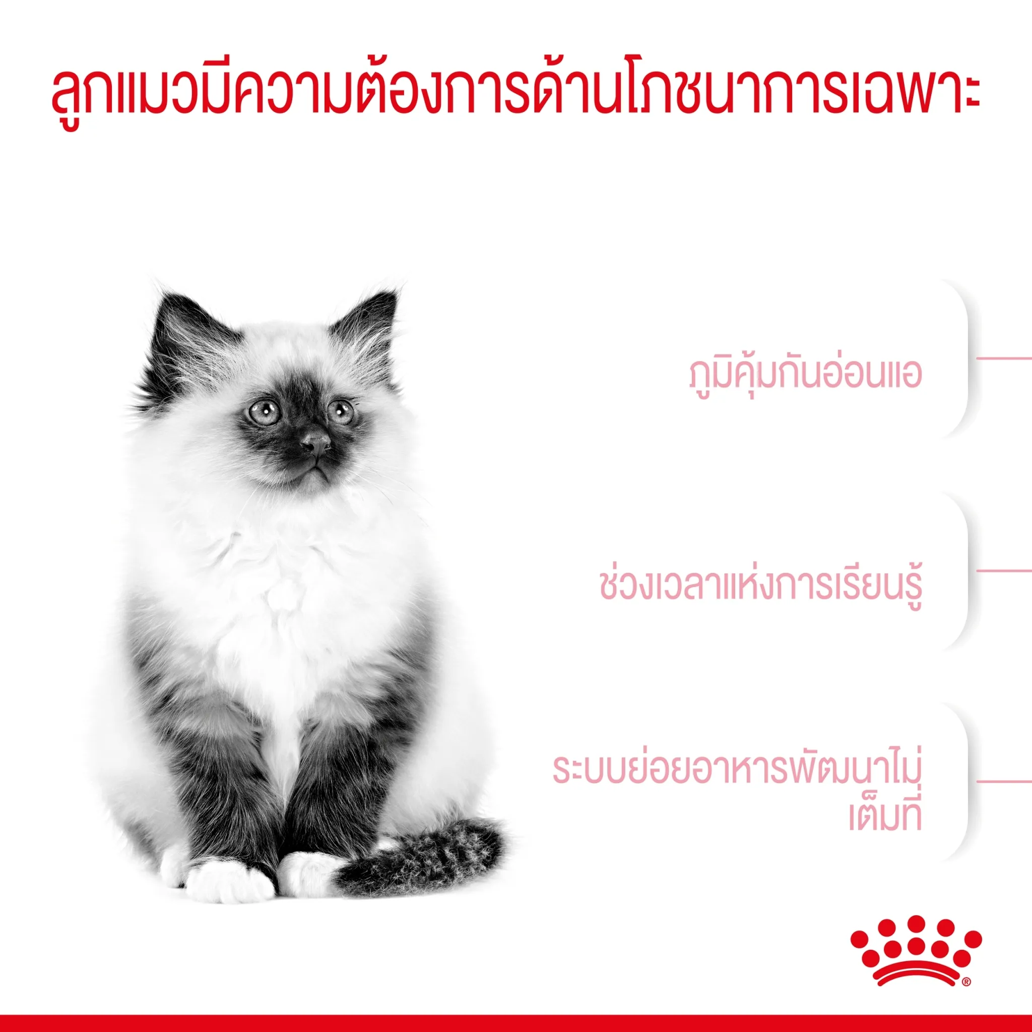 ROYAL CANIN KITTEN อาหารเม็ดสำหรับลูกแมว4-12เดือนทุกสายพันธุ์