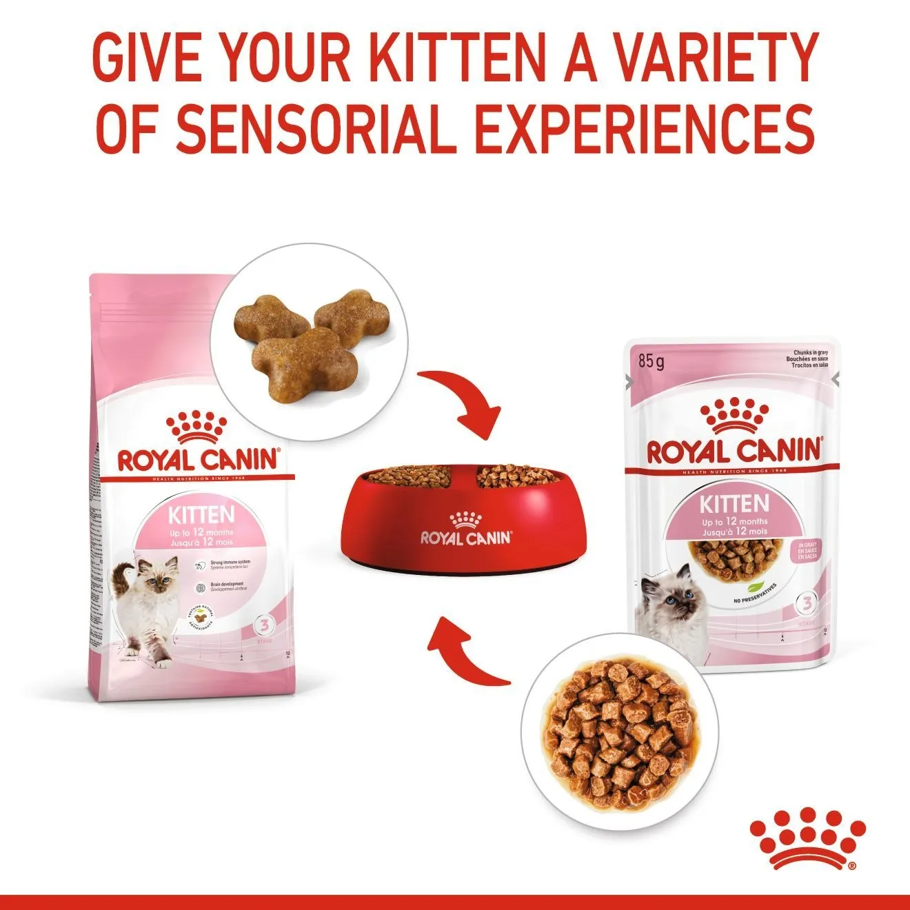 Royal Canin อาหารเปียกแมว สูตร Kitten สำหรับลูกแมว อายุ 4 - 12 เดือน ชนิดซอง 85 กรัม