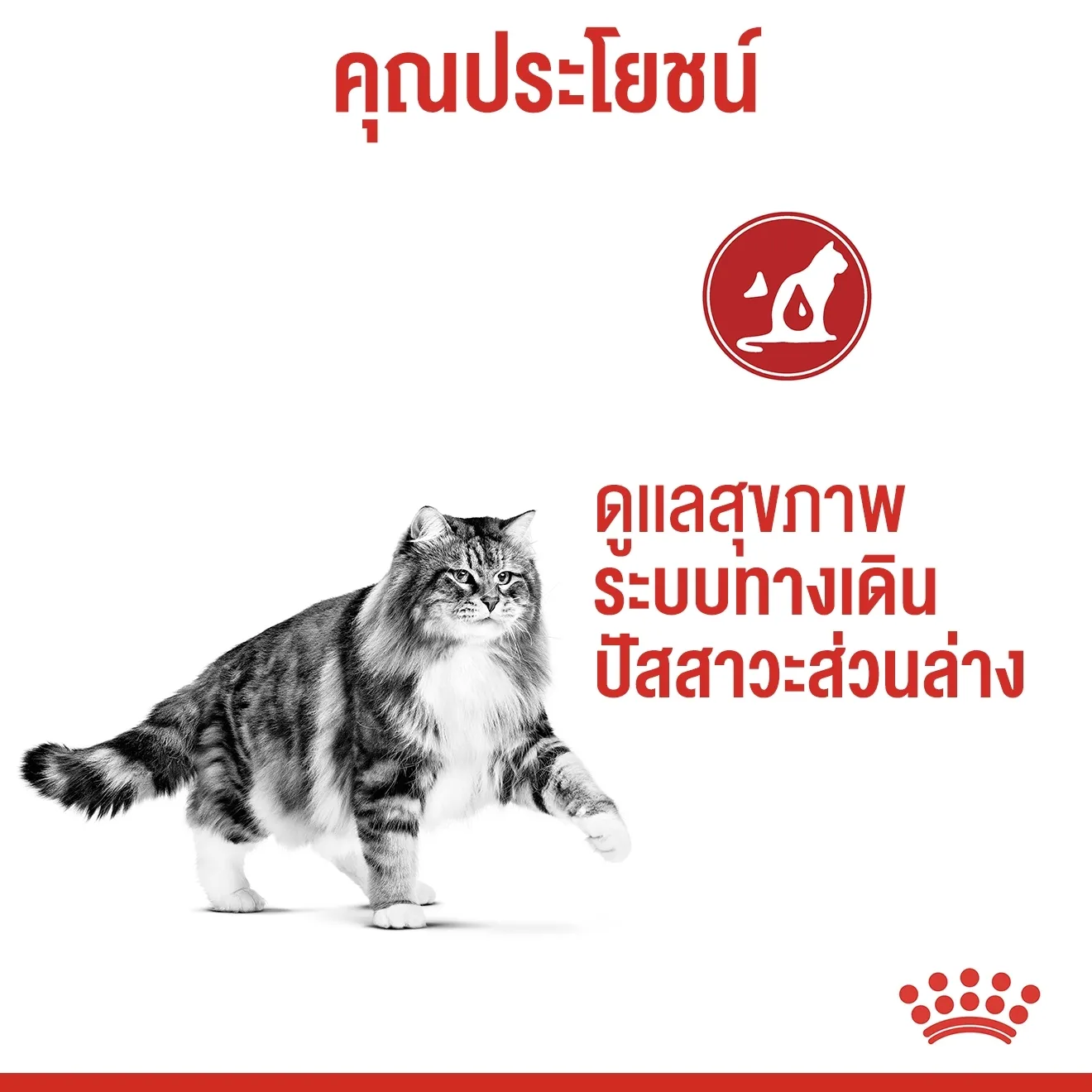 ROYAL CANIN Urinary Care อาหารเม็ดสำหรับแมวโตทุกสายพันธุ์ สูตรป้องกันนิ่ว