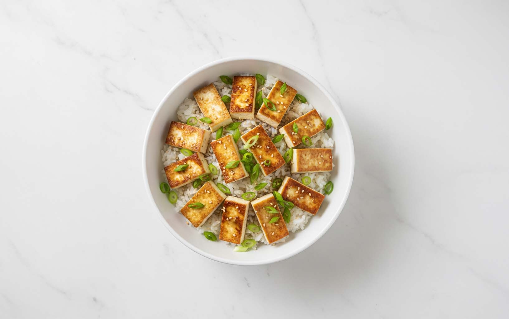 Arroz con Tofu y Cebolla China