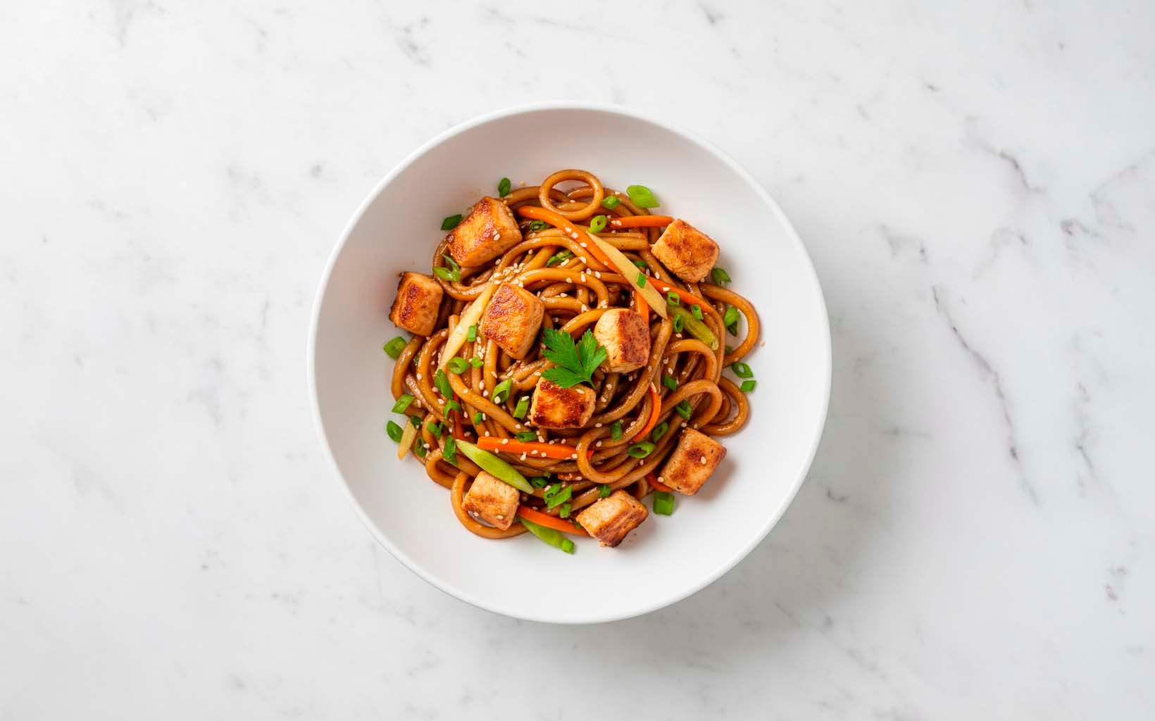 Fideos con Pollo y Vegetales en Salsa de Ostión