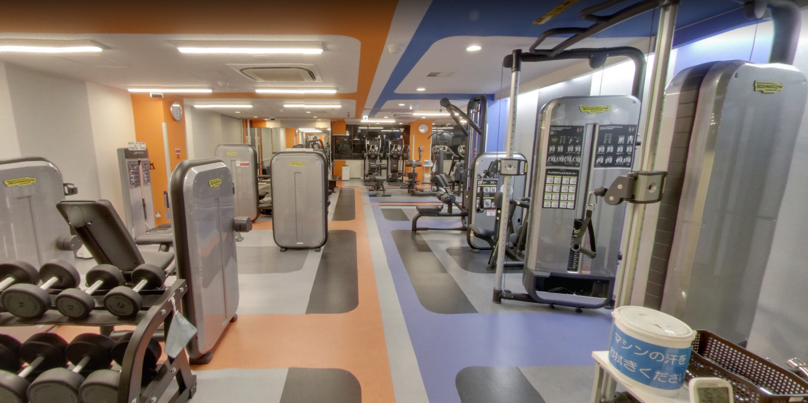 所沢 飯能 パーソナルトレーニングおすすめ選 Fitlu