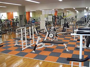 カーブス 札幌 東光ストア麻生 料金 詳細まとめ Fitlu