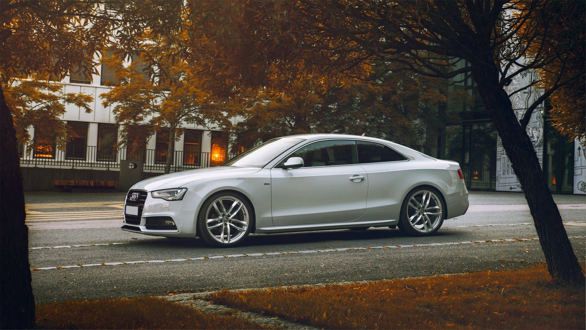 2026 Audi A5 Quattro on Niche Verona