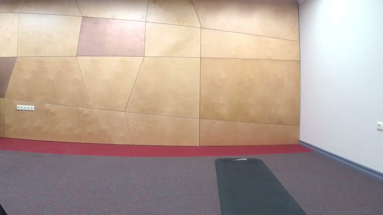 Full body workout (14.12)