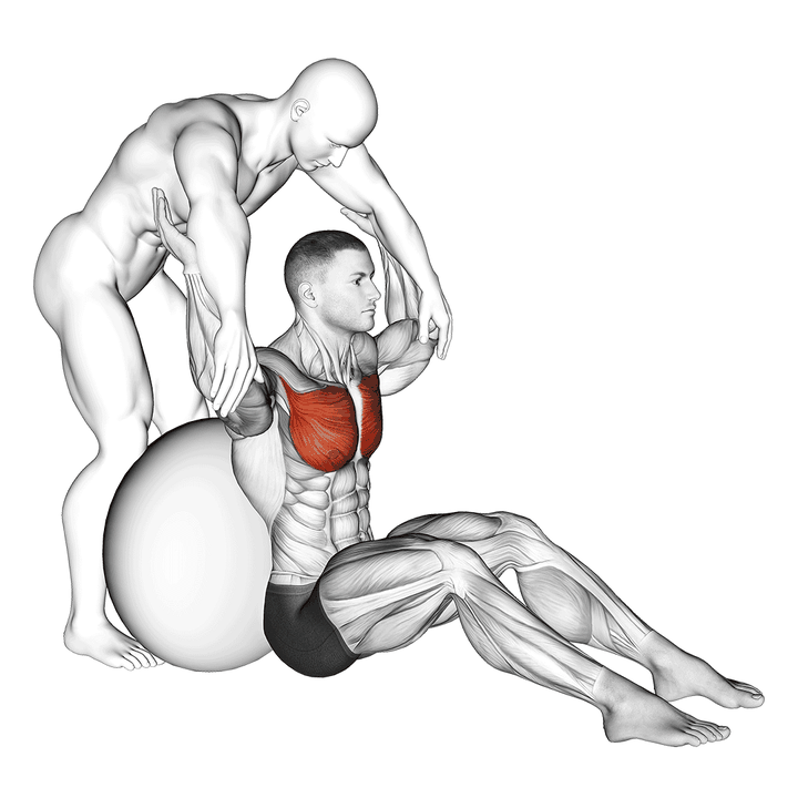 Demonstration of the assisted seated pectoralis major stretch with stability ball