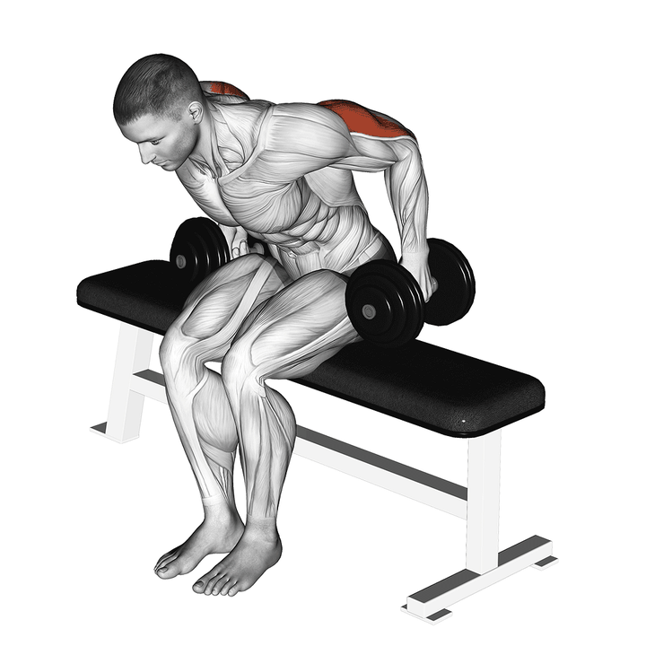 Demonstration of the dumbbell seated kickback - angled variation