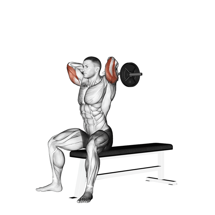 Demonstration of the rough ez barbell seated triceps extension
