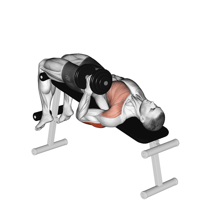 Demonstration of the squared style dumbbell decline one arm hammer press