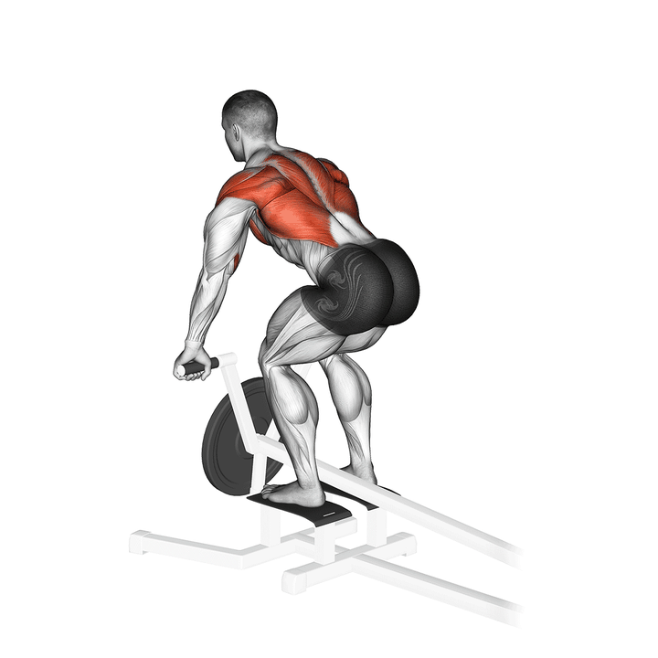 Demonstration of the lever t bar row