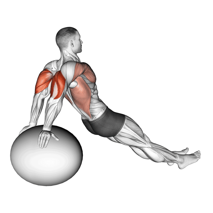 Demonstration of the exercise ball dip