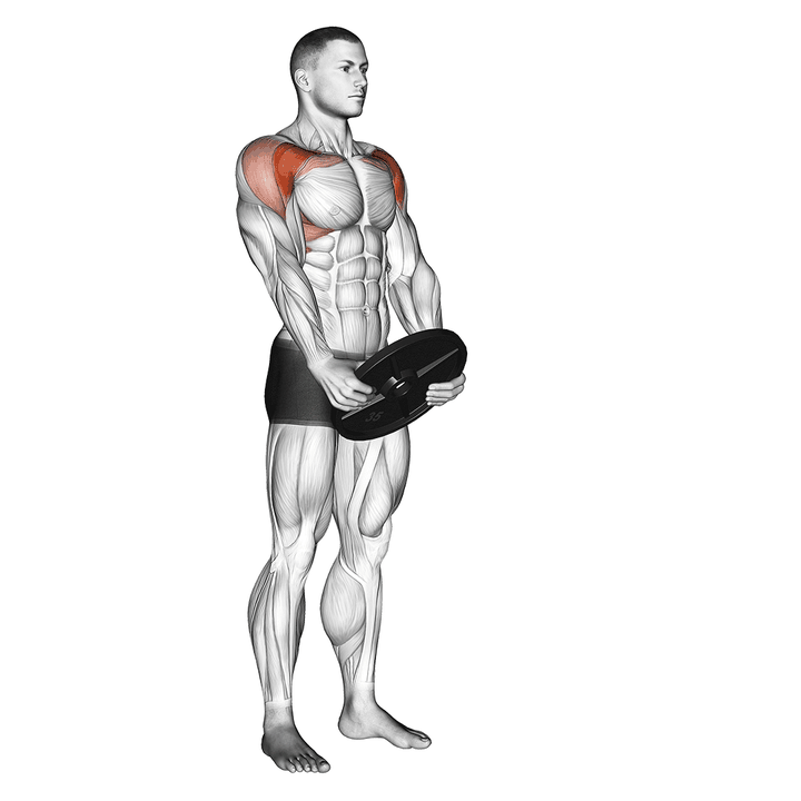 Demonstration of the weighted front raise