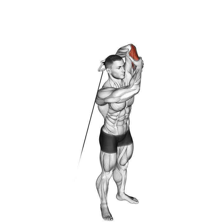 Demonstration of the cable alternate triceps extension