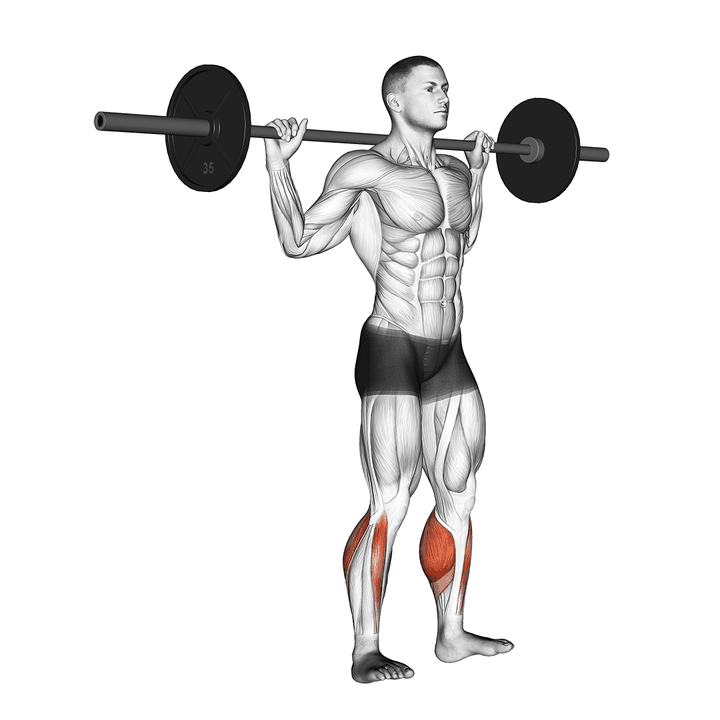 Demonstration of the barbell standing rocking leg calf raise