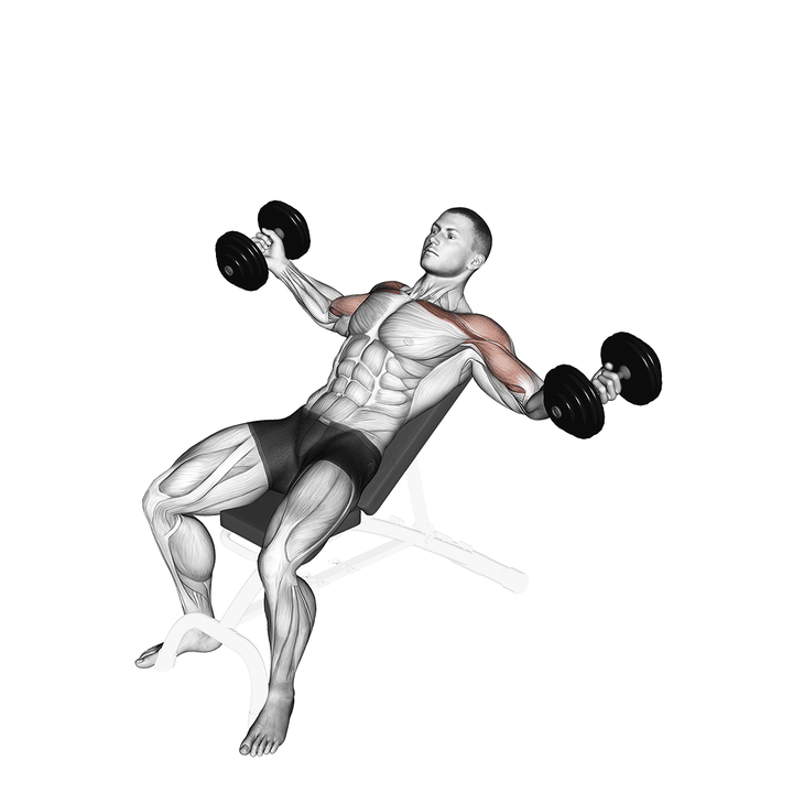 Demonstration of the dumbbell incline twisted flyes