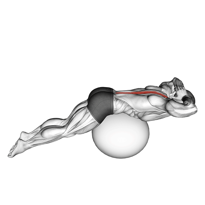 Demonstration of the back extension on exercise ball