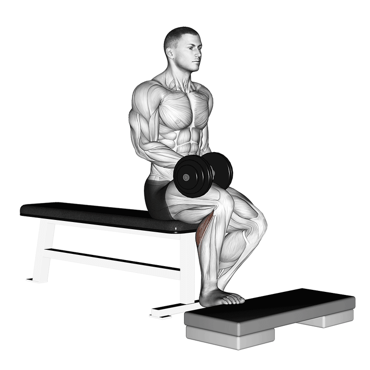 Demonstration of the dumbbell seated one leg calf raise