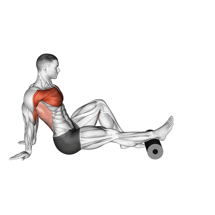 Demonstration of the roller seated single leg shoulder flexor depresor retractor