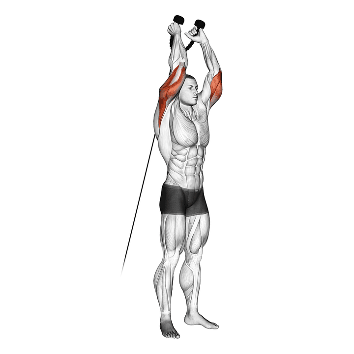 Demonstration of the cable overhead triceps extension (rope attachment)