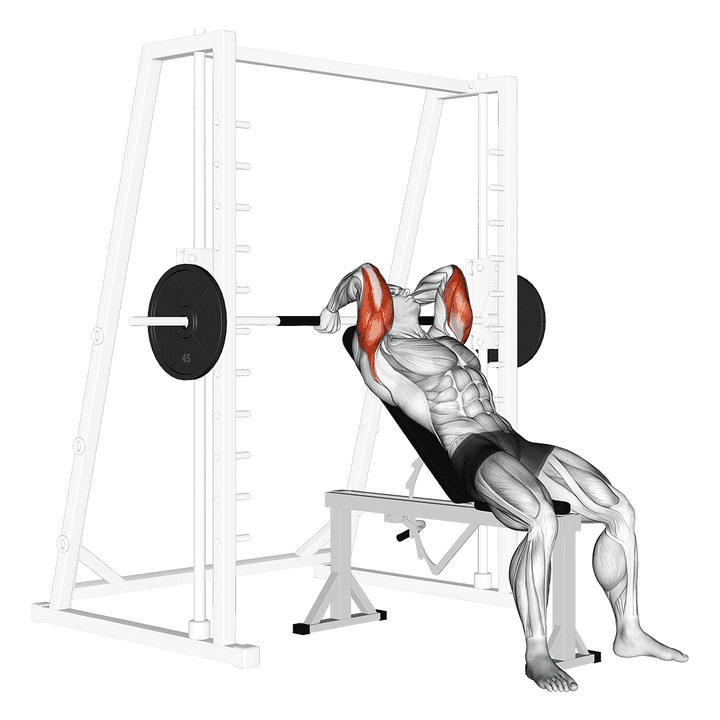Demonstration of the smith machine incline tricep extension