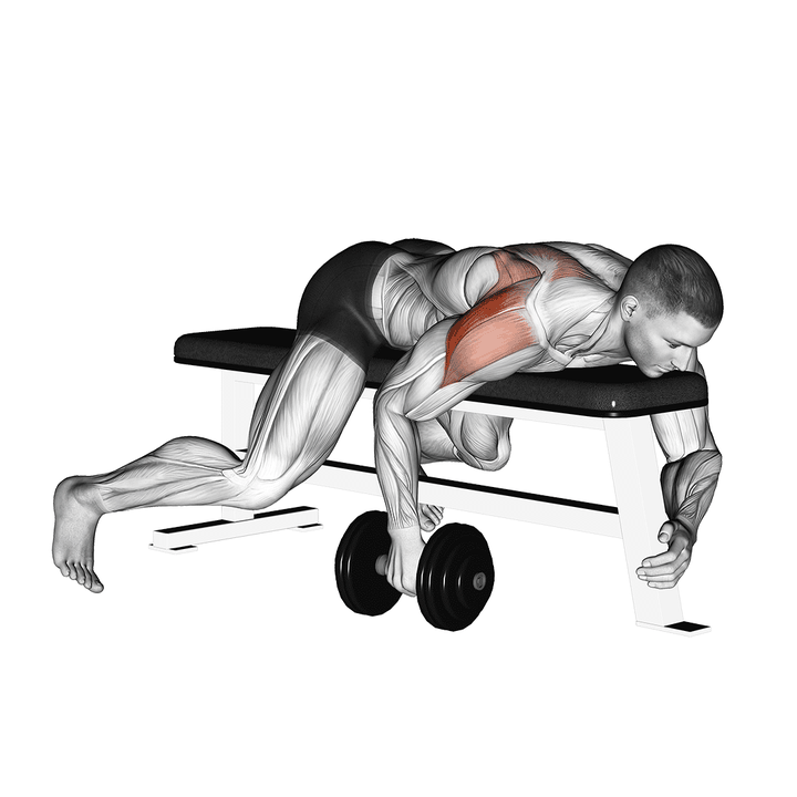 Demonstration of the dumbbell lying one arm rear lateral raise