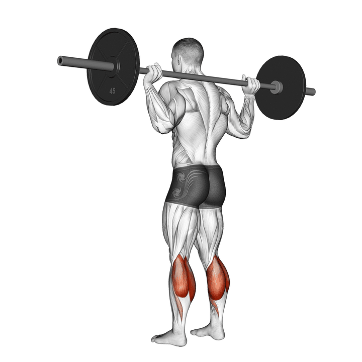 Demonstration of the barbell floor calf raise