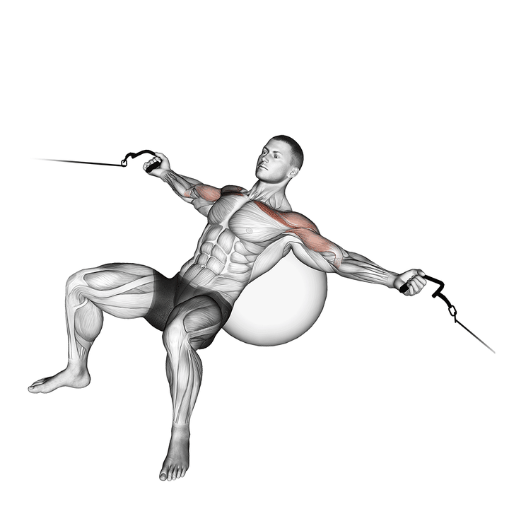 Demonstration of the cable incline fly (on stability ball)
