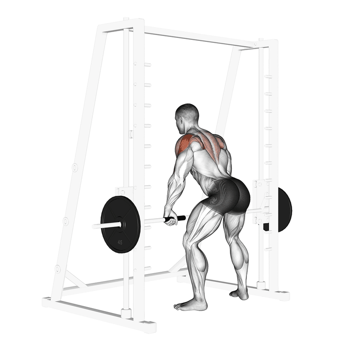 Demonstration of the smith rear delt row