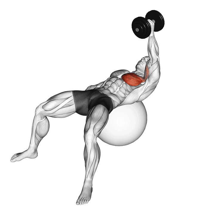 Demonstration of the dumbbell one arm fly on exercise ball