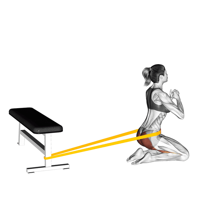 Demonstration of the resistance band hip thrusts on knees (female)