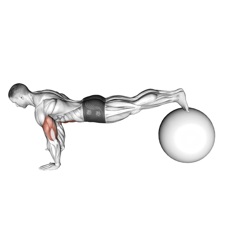 Demonstration of the exercise ball pike push up
