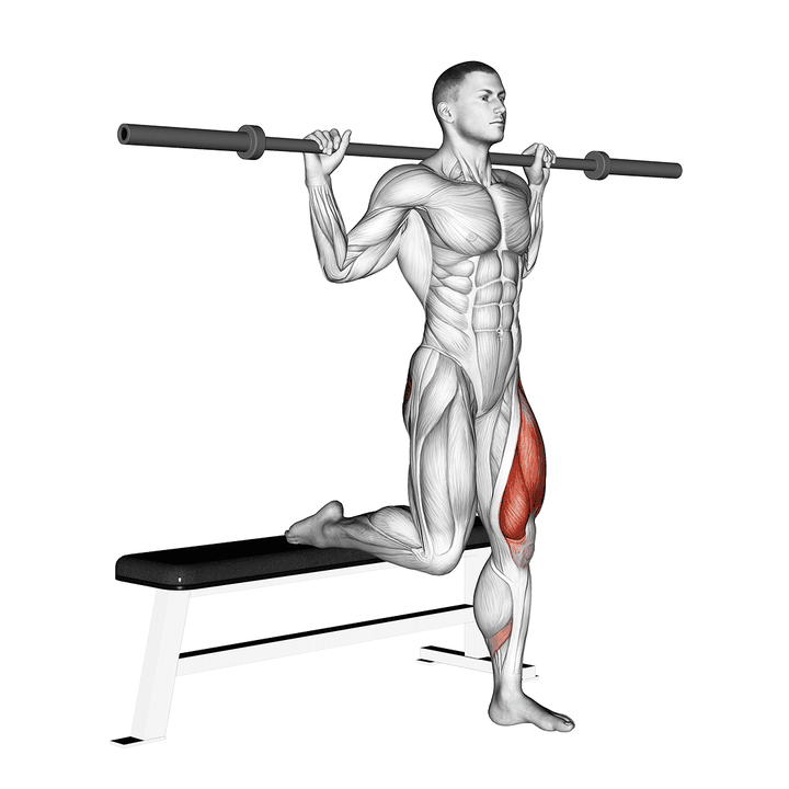 Demonstration of the barbell single leg split squat