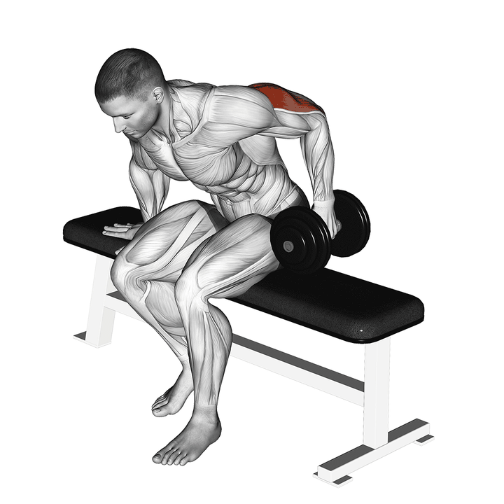 Demonstration of the dumbbell seated one arm kickback