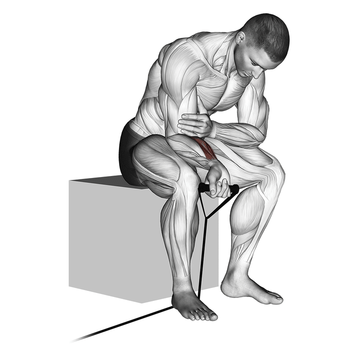 Demonstration of the band wrist curl