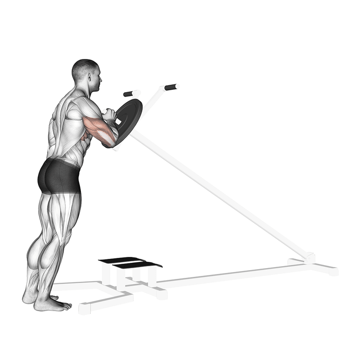 Demonstration of the lever one arm shoulder press