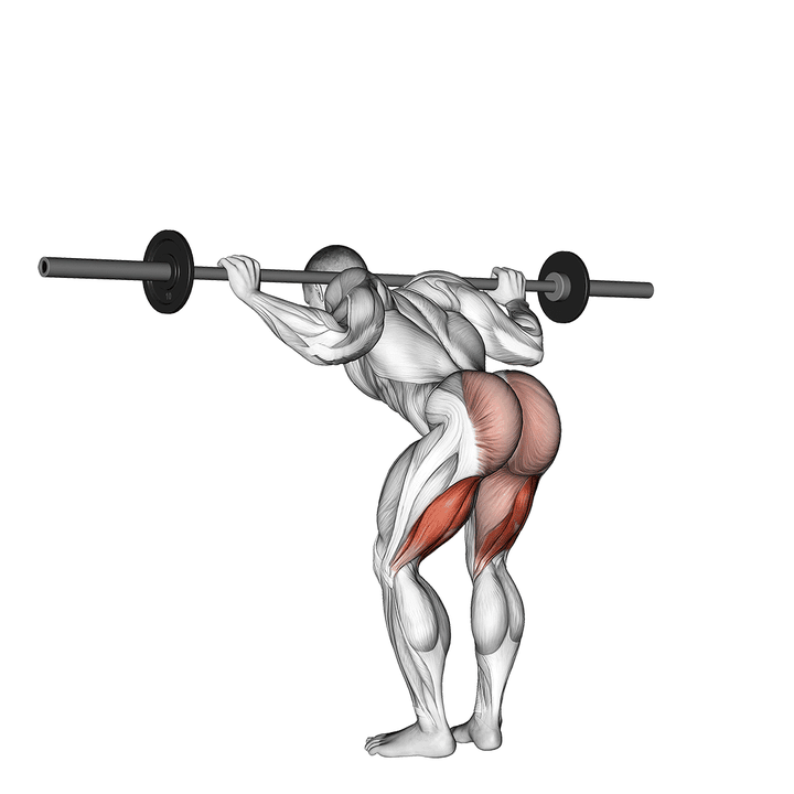 Demonstration of the barbell good morning