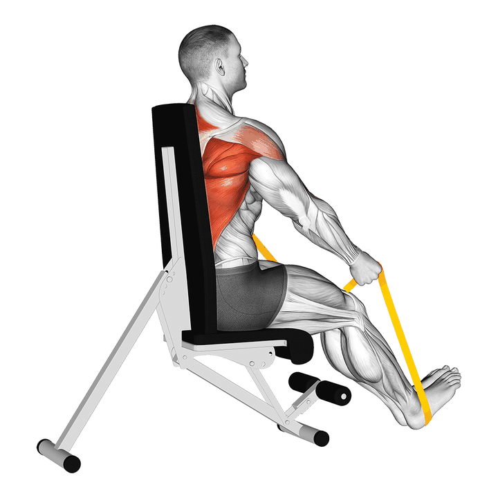 Demonstration of the resistance band seated straight back row