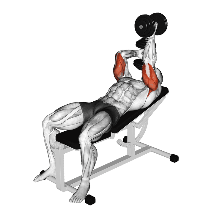 Demonstration of the dumbbell lying alternate extension