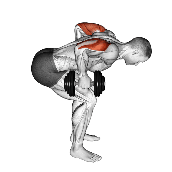Demonstration of the dumbbell standing bent over two arm triceps extension