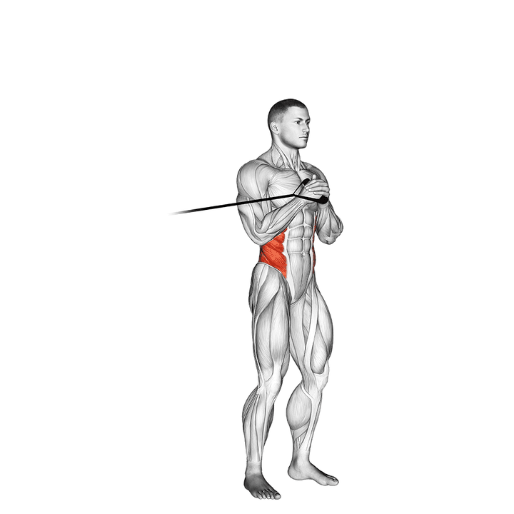 Demonstration of the band vertical pallof press