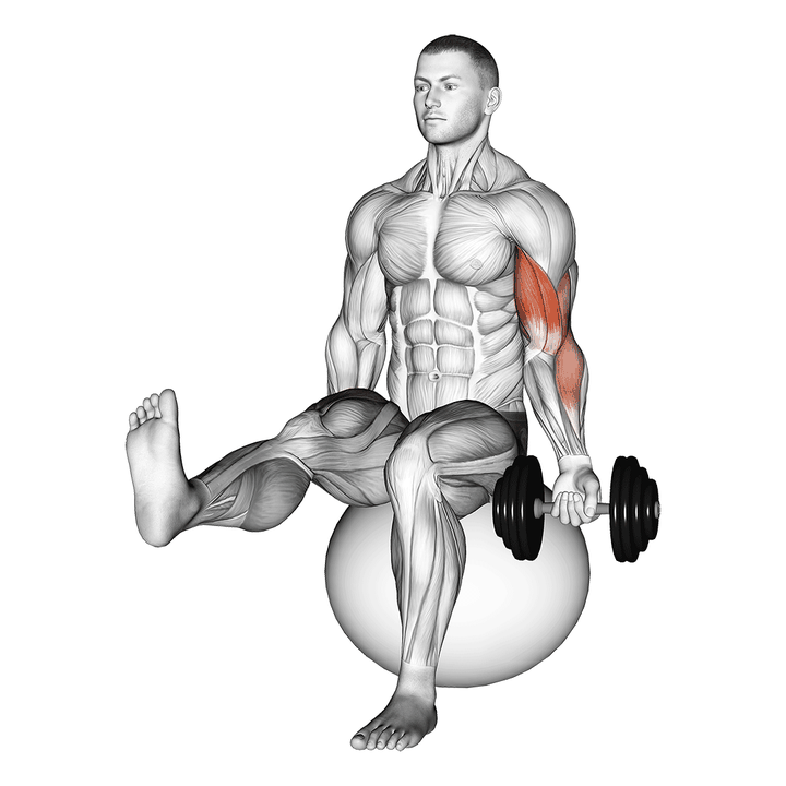 Demonstration of the dumbbell seated one arm bicep curl on exercise ball with leg raised