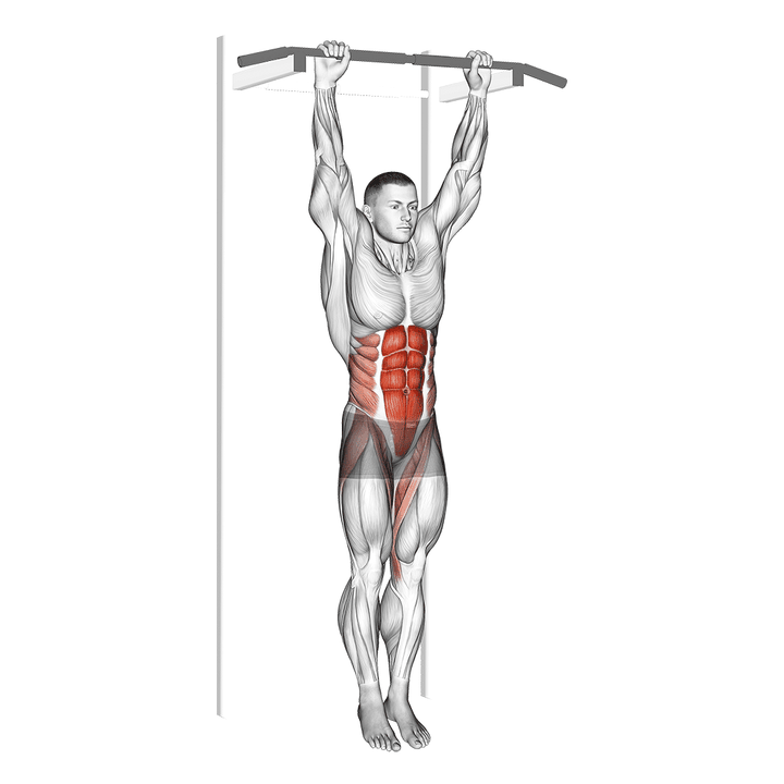 Demonstration of the hanging leg hip raise