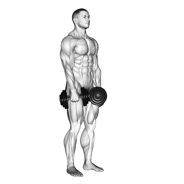 Demonstration of the dumbbell stiff leg deadlift
