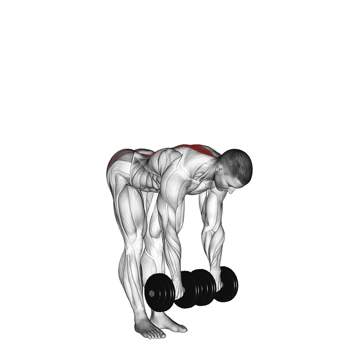 Demonstration of the dumbbell straight leg deadlift