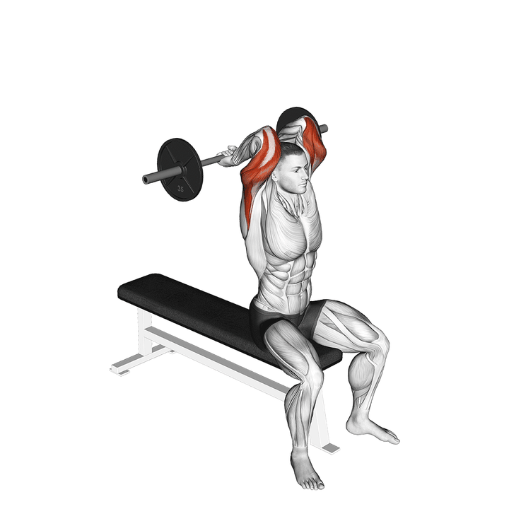 Demonstration of the barbell seated close grip behind neck triceps extension